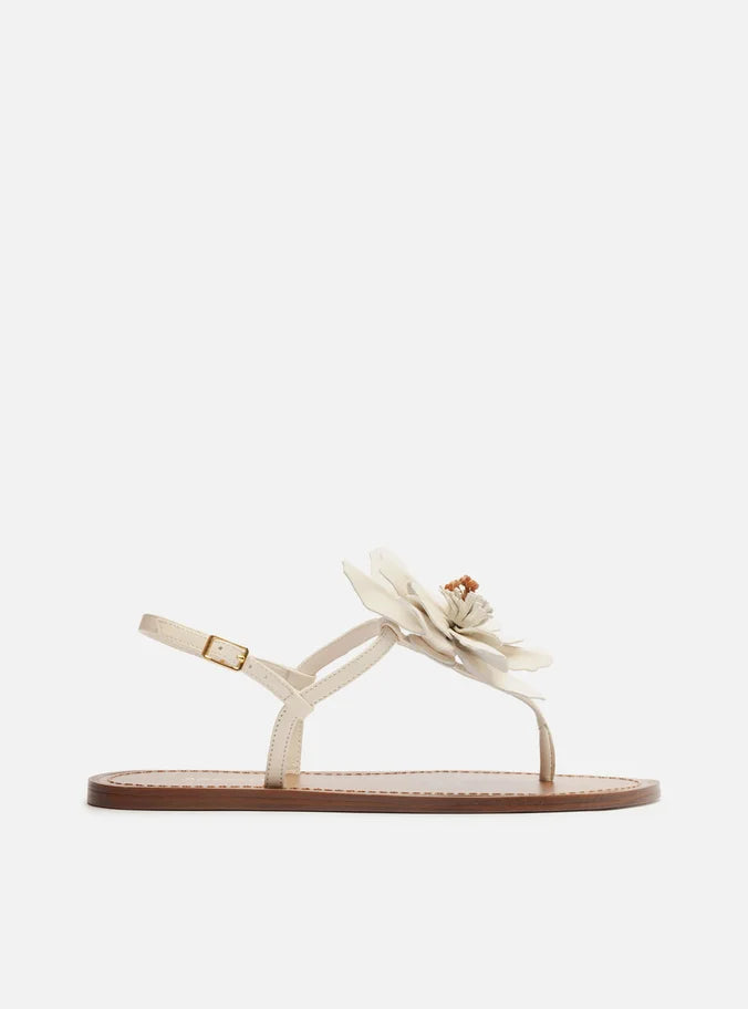 Daisy Leather Flat Sandals SUMMER 25