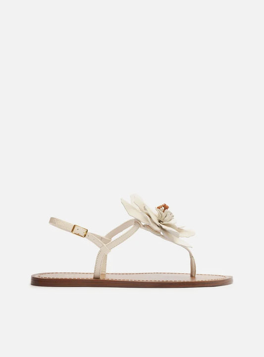 Daisy Leather Flat Sandals SUMMER 25