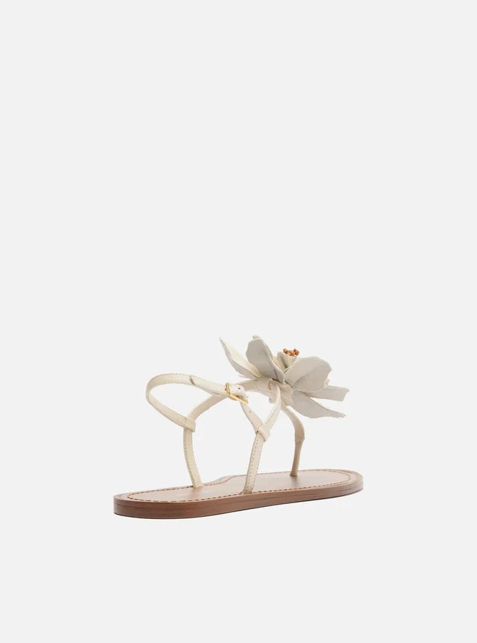Daisy Leather Flat Sandals SUMMER 25