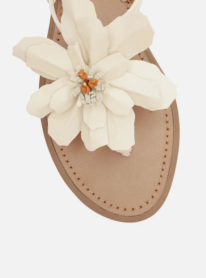 Daisy Leather Flat Sandals SUMMER 25