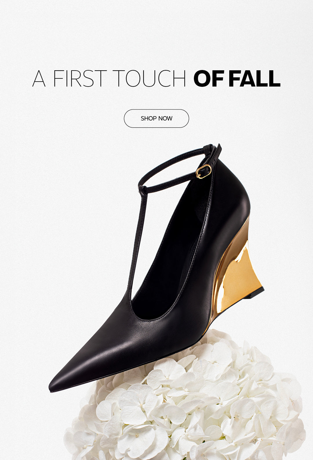 A FIRST TOUCH OF FALL