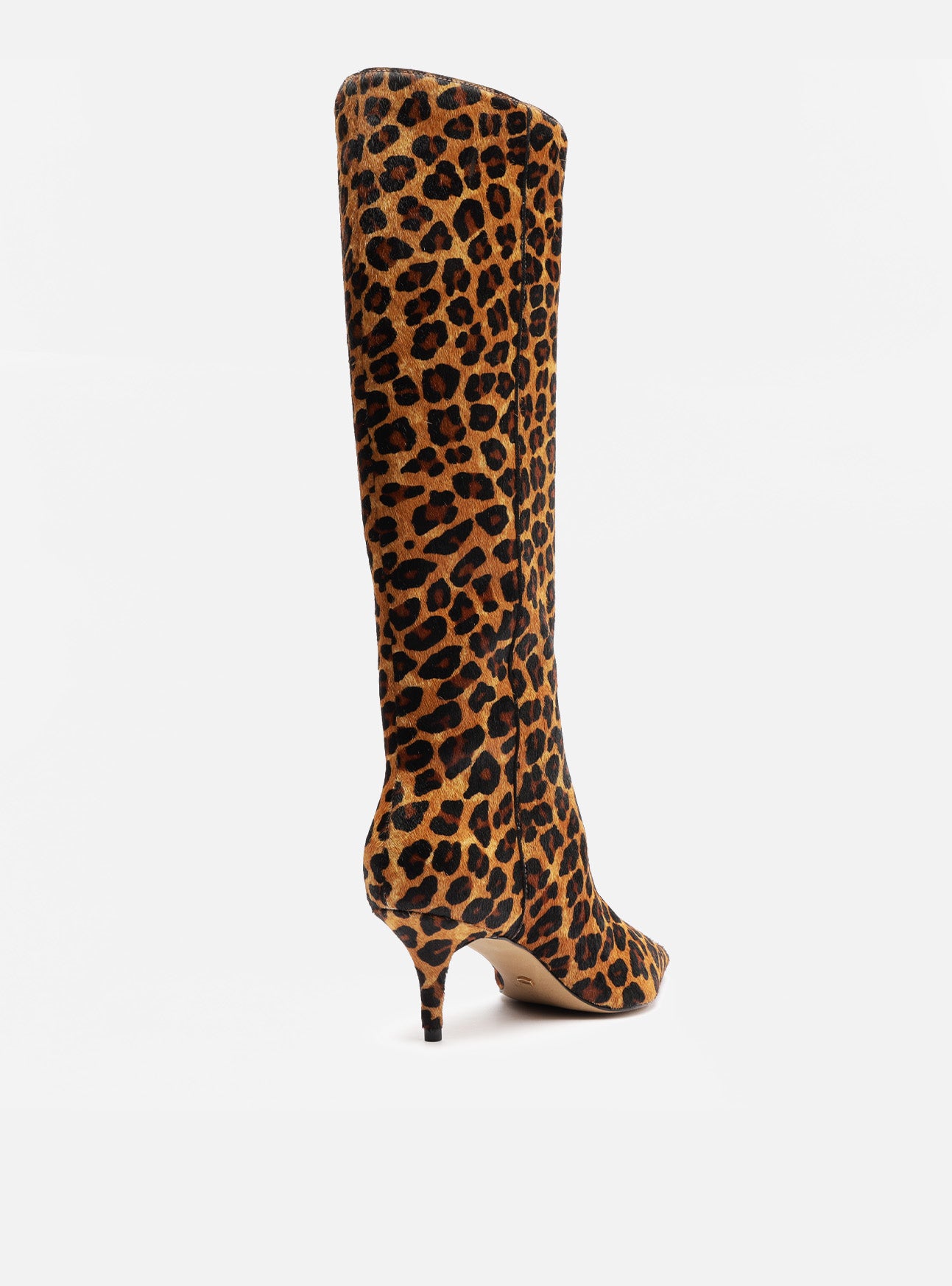 Sasha Low Stiletto Leather Boot Boot F/25