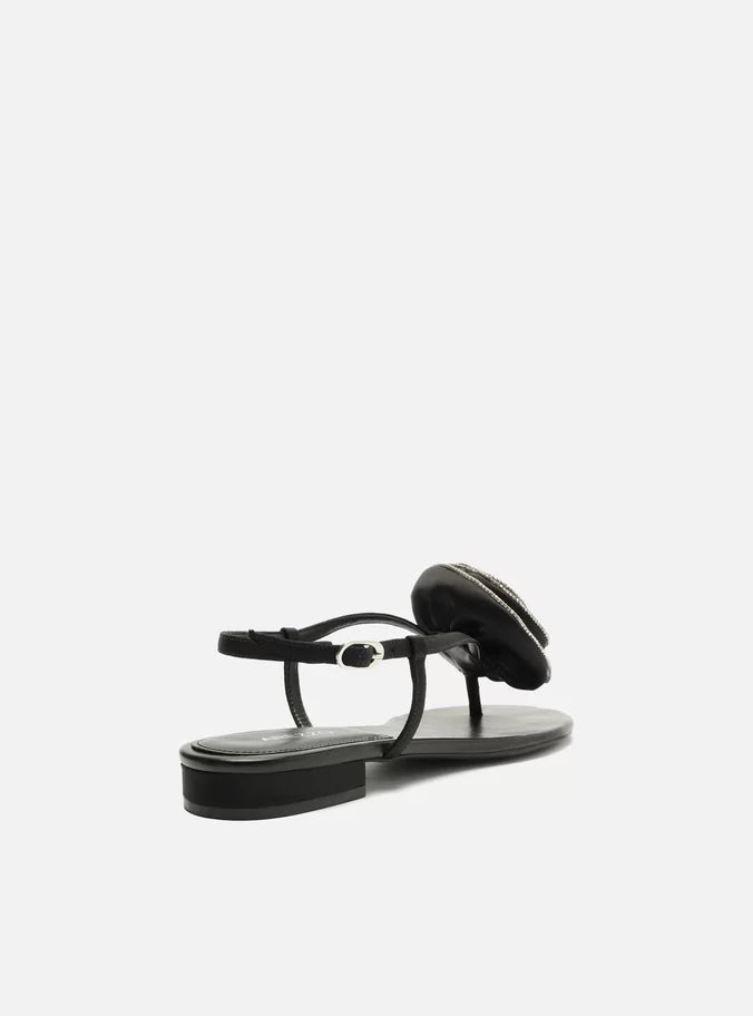 Ivy Low Block Sandal Sandal FALL 24