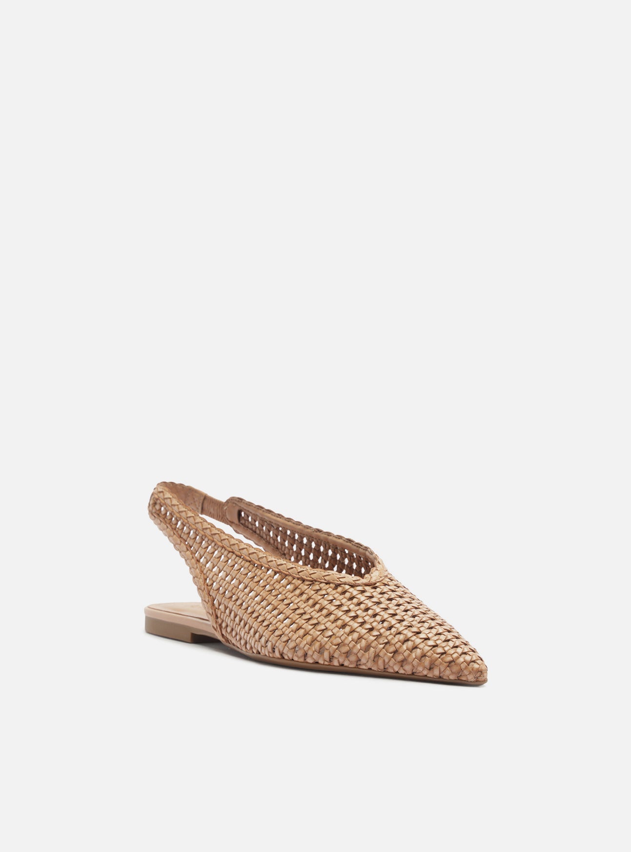 Eva Ballet Flat Flats Pre Fall 26