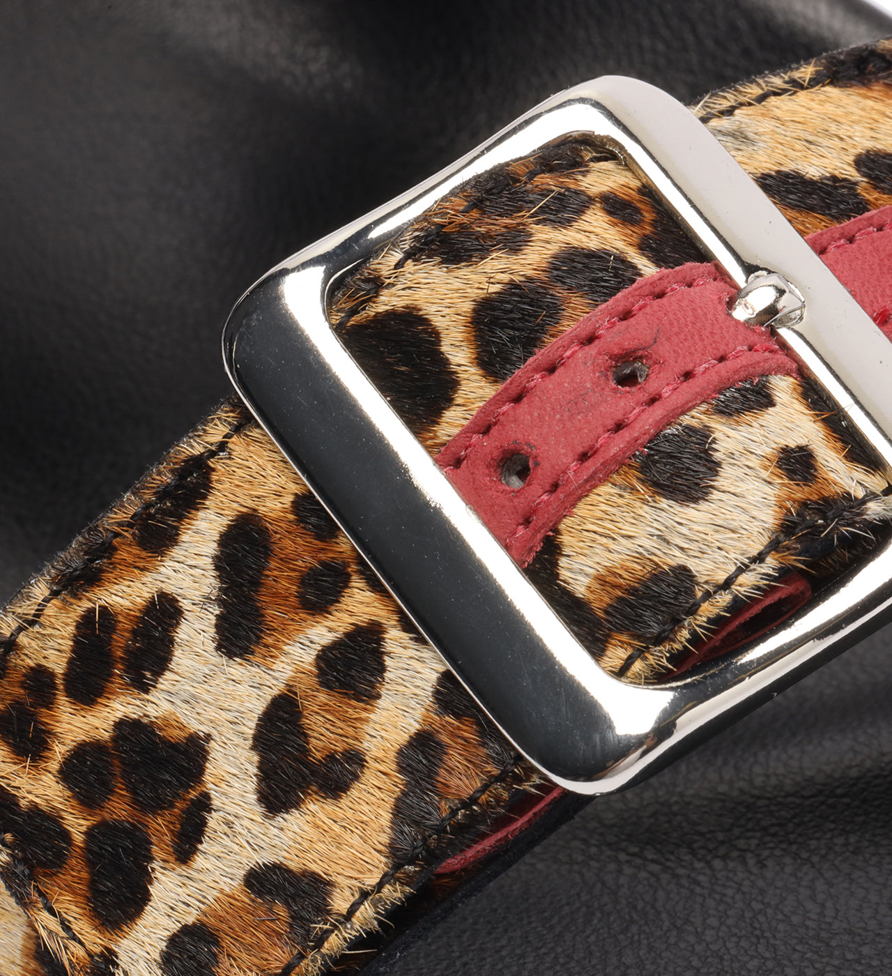 Animal Print